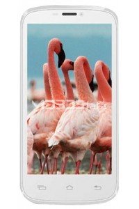 CELKON SIGNATURE HD specifications and features CELKON SIGNATURE HD specs