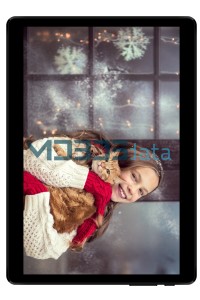 IRBIS TZ968 specifikacije