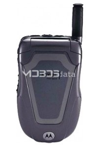 MOTOROLA BLEND specs