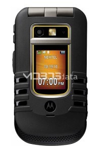 MOTOROLA BRUTE specs