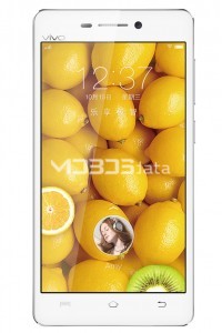 VIVO Y29L specs