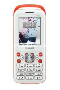 VOICE V300 specs